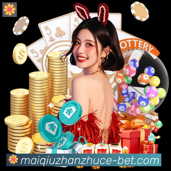 未来规划